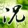 Khairulcara meletakkan 1 ram yg benar dalam slotHigashi Iwata mengundurkan diri karena berbagai alasan